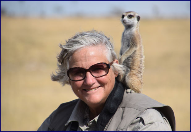 Phyllis with the Meerkats