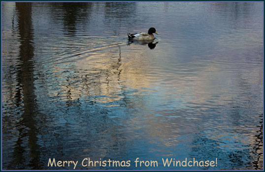 Merry Christmas from Windchase!