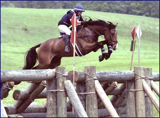 Photos of Enniskerry Imp, ridden by Phyllis Dawson, from Windchase, her eventing and boarding horse farm in Virginia.