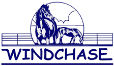 Olympic rider Phyllis Dawson's Windchase farm.  Event horses for sale, boarding, training, working students, breeding to Brandenburg's Windstar.  