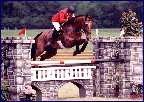 Phyllis Dawson riding Irish Sport Horse Star Bright at the Foxhall CCI***.