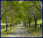 Contact Us and Driving Directions
